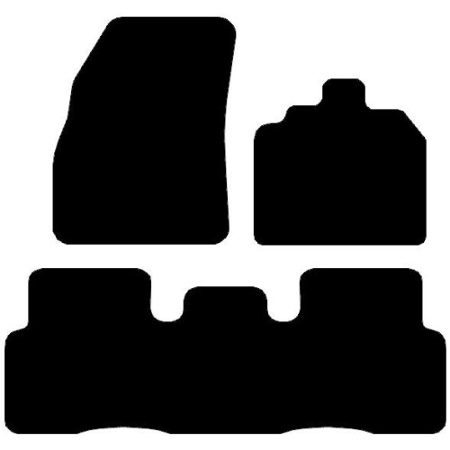 Actual Mat Shape for Renault Scenic II (2003 - 2009)