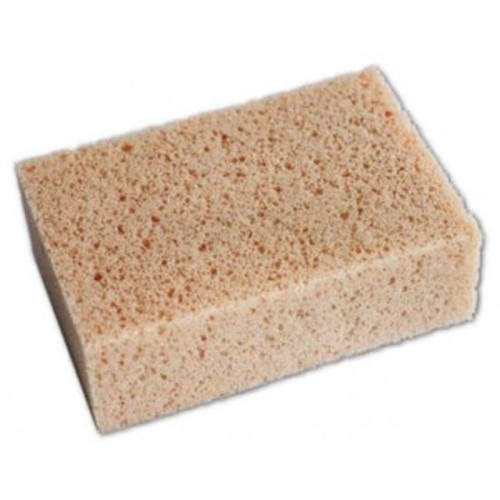 KAJA SPONGE FOR INSECT
