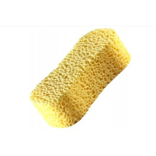 KAJA GUITAR SPONGE SPECIAL