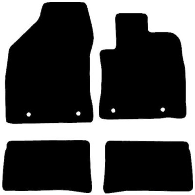 Actual Mat Shape for Lexus CT200 (2011 - Present)